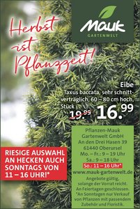 Anzeige