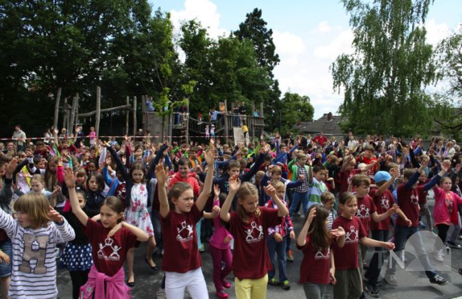 KronthalSchüler haben große Freude am Experimentieren TaunusNachrichten