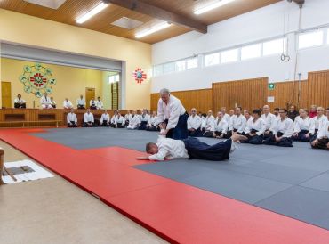 Aikido-Lehrer Jan Nevelius zeigt einen Festlegehebel