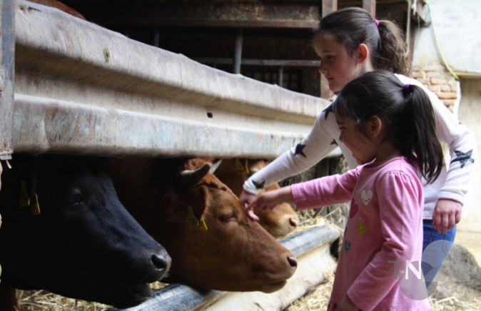 Tiere kennenlernen
