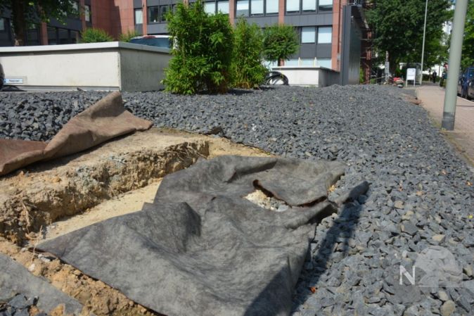 Grosse Koalition Gegen Schotter Und Kiesbeete Taunus Nachrichten