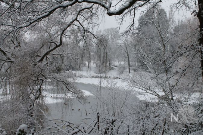 Mit Marchen Durch Den Winter Taunus Nachrichten