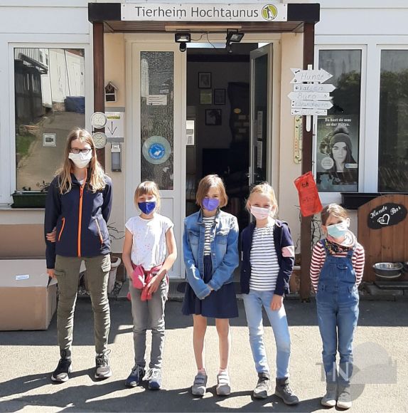 Kinder unterstützen Hunde im Tierheim TaunusNachrichten